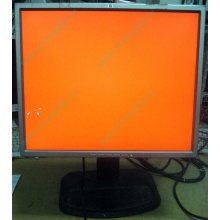 Монитор 19" TFT HP 1955 (DVI в Петрозаводске, USB-хаб) "квадратный" (Петрозаводск)