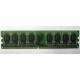 Модуль оперативной памяти 4096Mb DDR2 Patriot PSD24G8002 pc-6400 (800MHz)  (Петрозаводск)