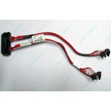 SATA-кабель для корзины HDD HP 451782-001 459190-001 для HP ML310 G5 (Петрозаводск)