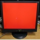 Монитор 19" ViewSonic VA903b (1280x1024) есть битые пиксели (Петрозаводск)