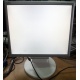 Монитор 17" TFT Nec MultiSync LCD175VXM+ бело-серебристый (Петрозаводск)