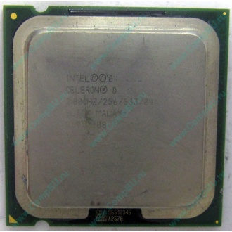 Процессор Intel Celeron D 330J (2.8GHz /256kb /533MHz) SL7TM s.775 (Петрозаводск)