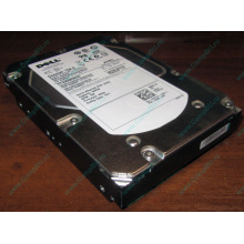 Жесткий диск 300Gb 15k Dell 9CH066-050 6G SAS (Seagate Cheetach ST3300656SS 15K.6) - Петрозаводск